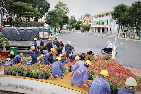 Cơ cấu tổ chức và hoạt động xã hội